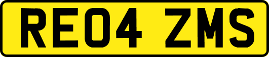 RE04ZMS
