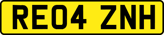 RE04ZNH