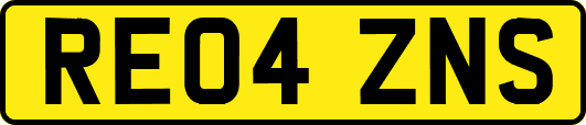 RE04ZNS