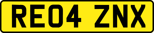 RE04ZNX