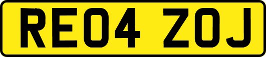 RE04ZOJ