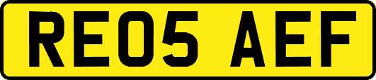 RE05AEF