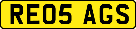 RE05AGS