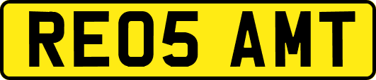 RE05AMT