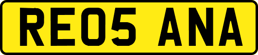 RE05ANA