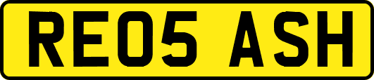RE05ASH