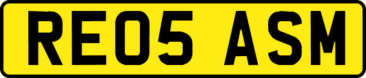 RE05ASM