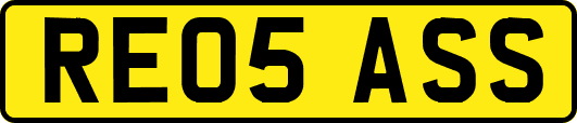 RE05ASS