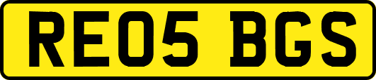 RE05BGS