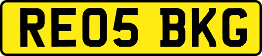 RE05BKG