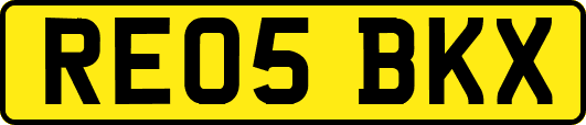 RE05BKX