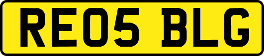 RE05BLG