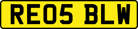 RE05BLW