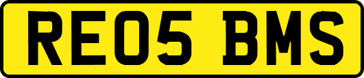 RE05BMS