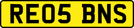 RE05BNS