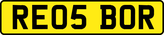 RE05BOR