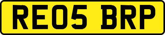 RE05BRP
