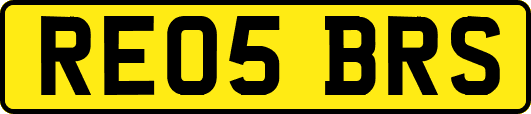 RE05BRS