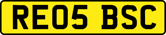 RE05BSC