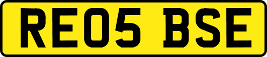 RE05BSE