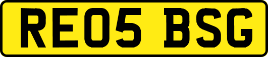RE05BSG