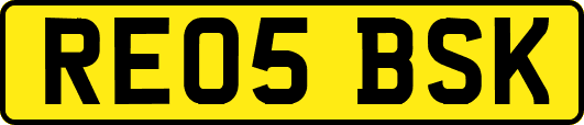 RE05BSK