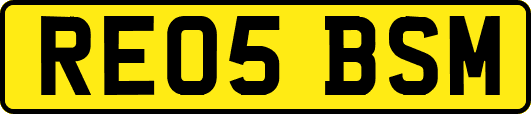RE05BSM