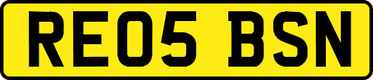 RE05BSN