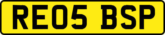 RE05BSP