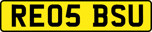 RE05BSU