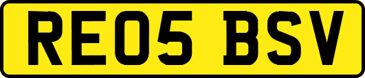 RE05BSV