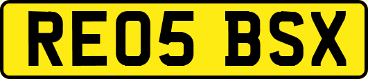 RE05BSX