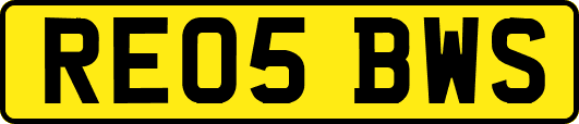 RE05BWS