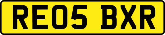 RE05BXR