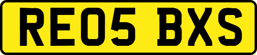 RE05BXS