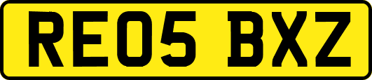 RE05BXZ