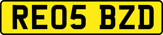 RE05BZD