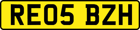 RE05BZH