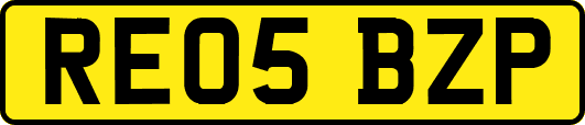 RE05BZP