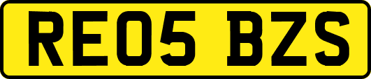RE05BZS
