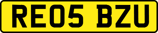 RE05BZU