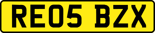 RE05BZX