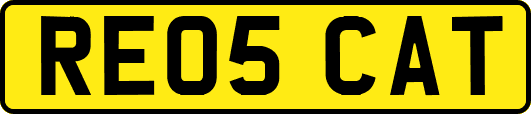 RE05CAT