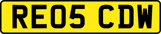 RE05CDW