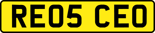 RE05CEO