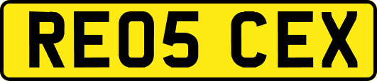 RE05CEX