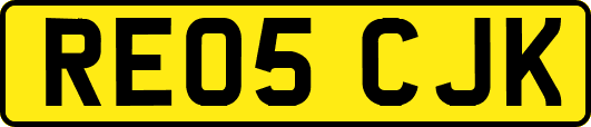 RE05CJK