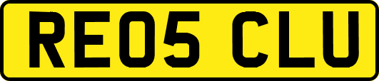 RE05CLU