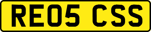 RE05CSS