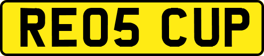 RE05CUP